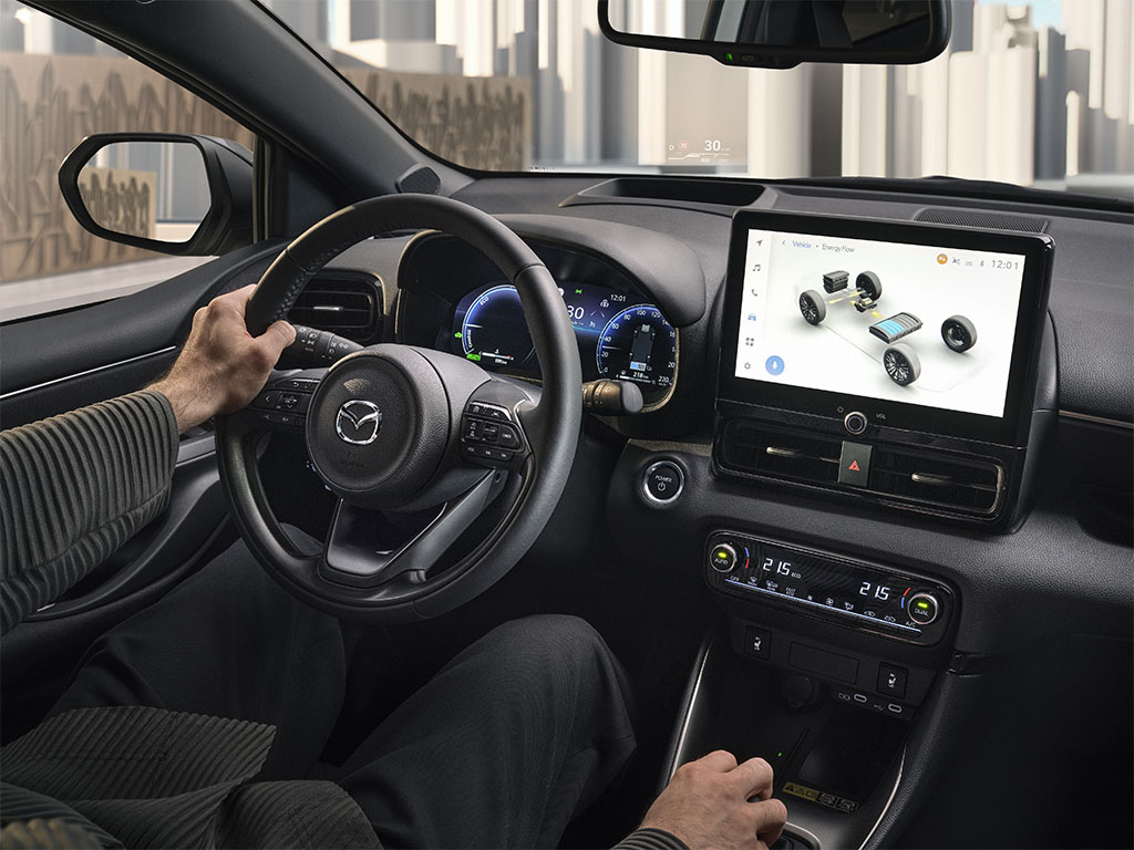 Noleggio Auto Neopatentati Breve Termine