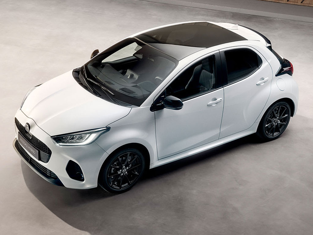 Immagini Prodotto Bfree Breve Termine